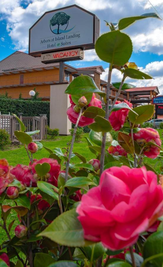 Arbors At Island Landing Hotel & Suites Pigeon Forge Esterno foto